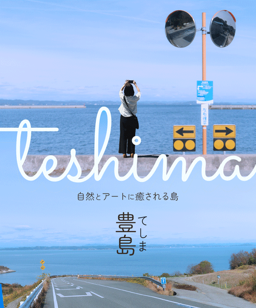 teshima banner